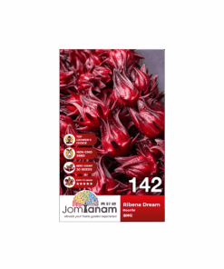 Roselle Ribena Dream