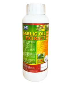 KMB GARLIC OIL EXTRACT - 1L