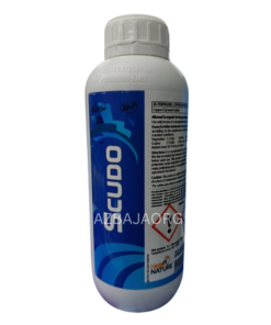 SCUDO (RACUN KULAT) - 1L