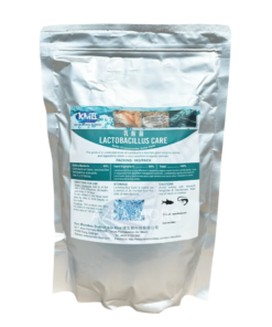 KMB LACTOBACILLUS CARE - 1KG