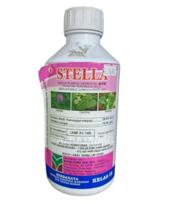 STELLA (RACUN RUMPAI) - 1L